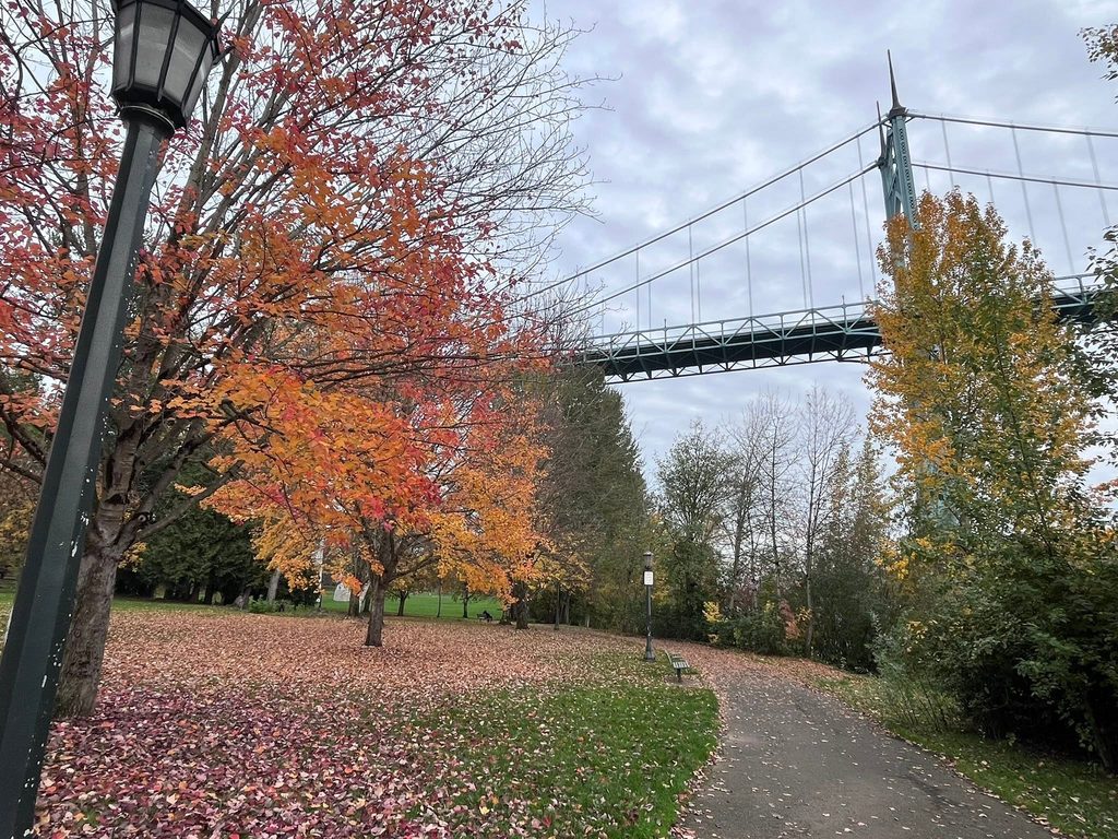 Fall colors along a walking path beneath the St. Johns Bridge at Cathedral Park in Portland, Oregon.