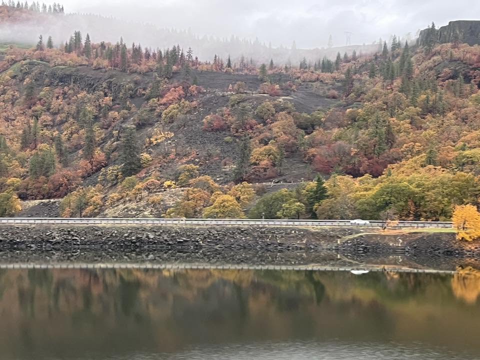 Colorful fall foliage on rocky hillsides beside the Columbia River Gorge with mist in the mountains.