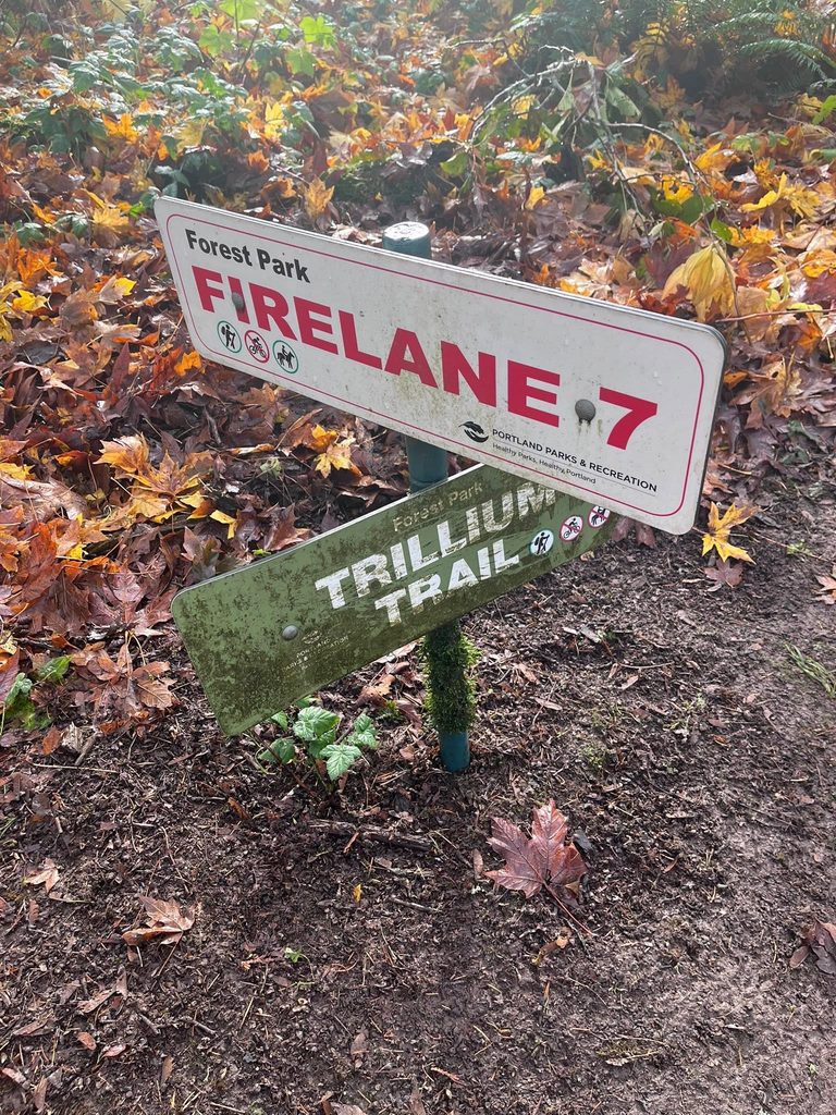 Forest Park Firelane 7 and Trillium Trail signs surrounded by fall leaves in Portland, Oregon