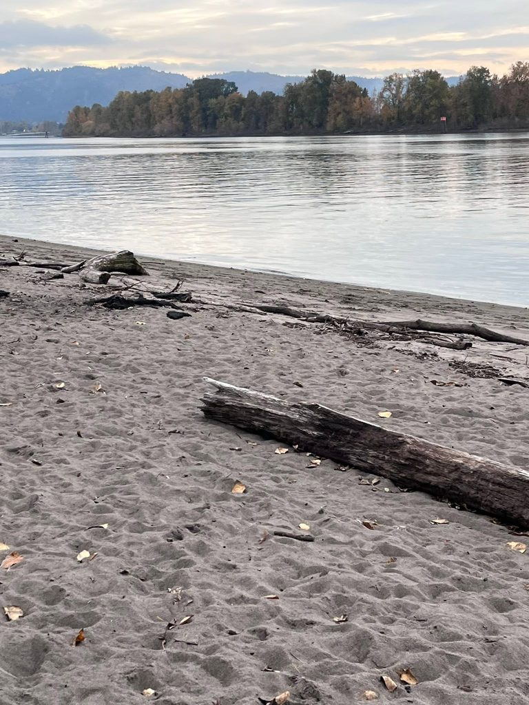 Sandy riverbank and water at Kelley Point Park where the Willamette and Columbia Rivers meet in Portland, Oregon.