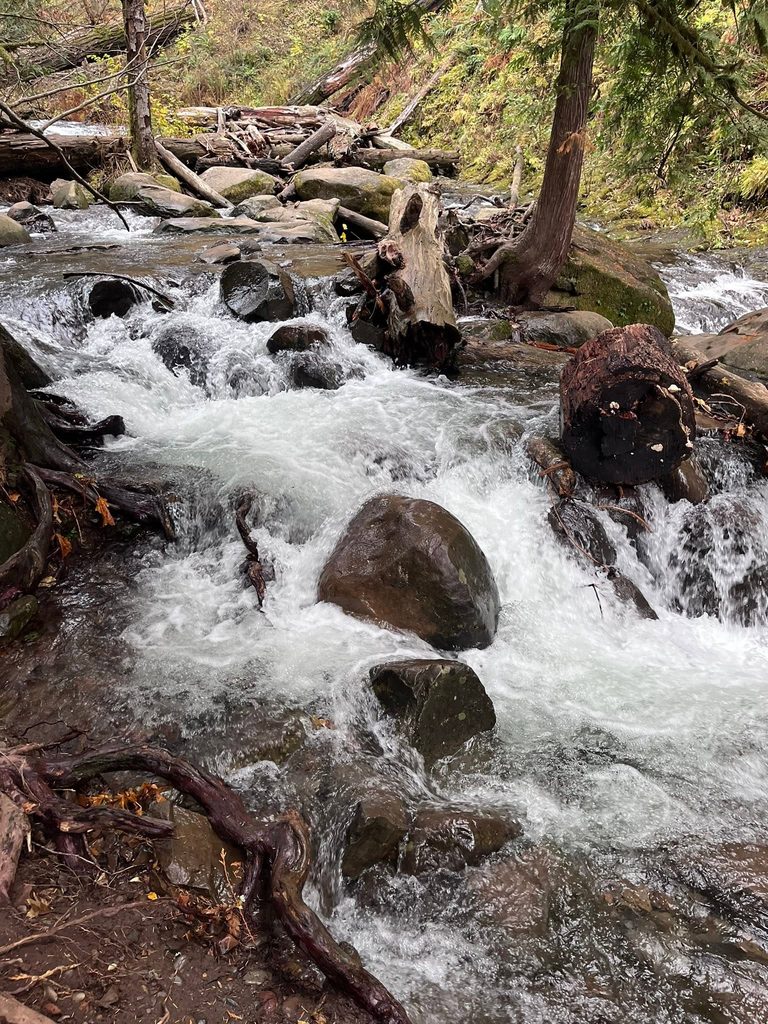 Rushing water flowing over large rocks through the forest near the top of Multnomah Falls in Oregon.