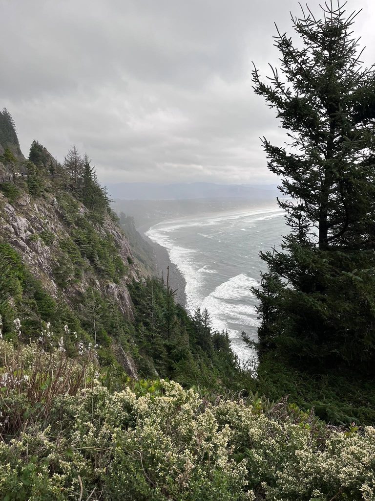 Dramatic view of the Pacific Ocean, forested cliffs and coastline from Neahkahnie Mountain on the Oregon Coast.