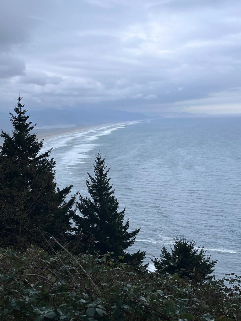 Evergreen trees overlooking the Pacific Ocean and coastline from Neahkahnie Mountain on the Oregon Coast.
