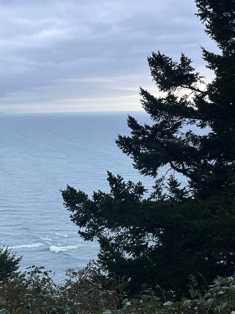 Pacific Ocean far below evergreen trees at the Neahkahnie Mountain overlook on the Oregon Coast.